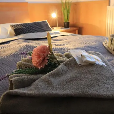 Penzión pre hostí Kras 3*